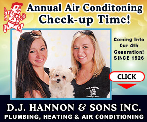 D.J. Hannon & Sons Inc.